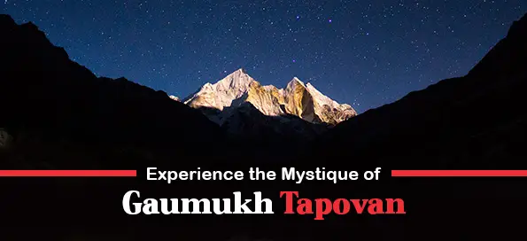 Experience the Mystique of Gaumukh Tapovan
